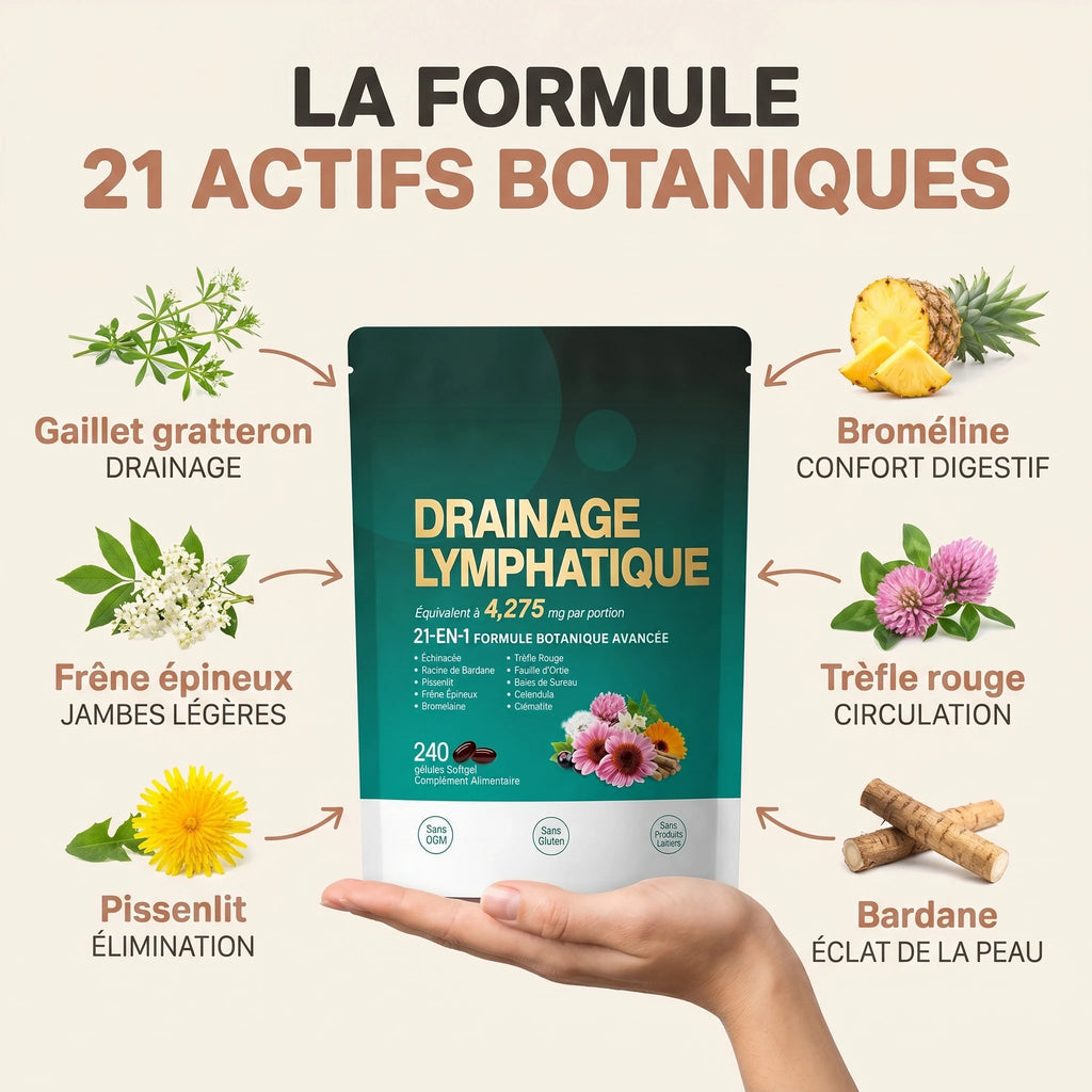 Lysse PDP 02 ingrédients